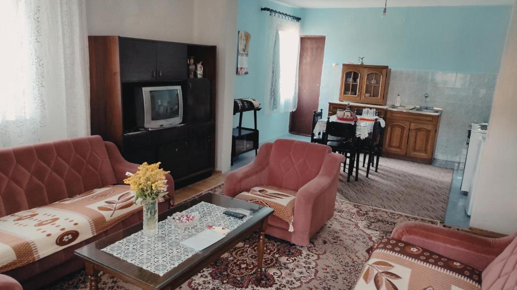 比耶洛波列202的客厅配有沙发、椅子和桌子