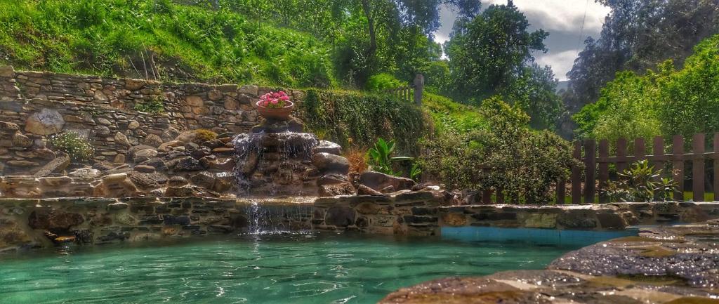 蒙多涅多A Casa das Augas的水池中央的喷泉