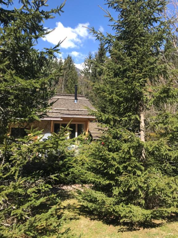 夏蒙尼-勃朗峰Chalet Cristal Trail的树掩映在房子前面的房子