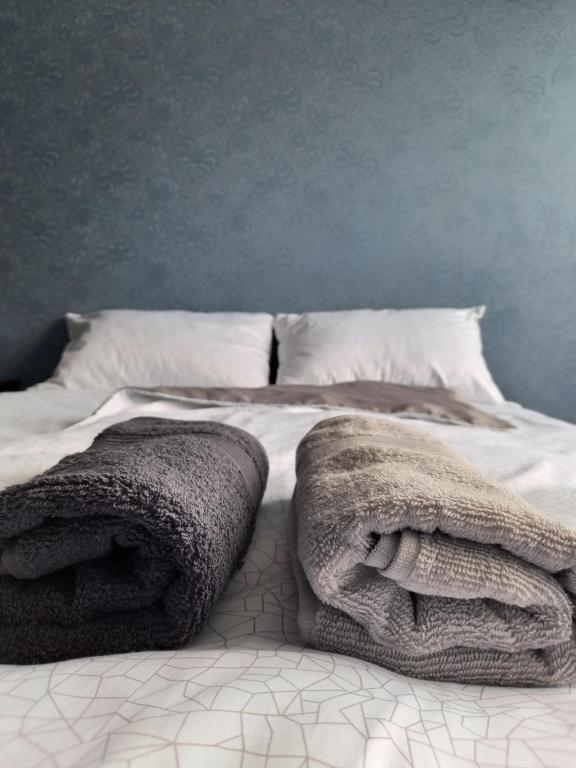 AizputeHostelis R27的床上配有毯子和枕头