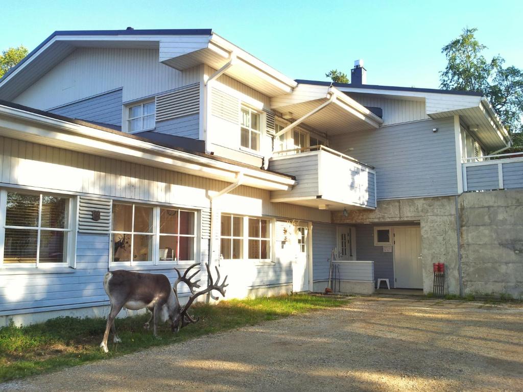 萨利色尔卡Kuukkeli Apartments的一只鹿站在房子前面