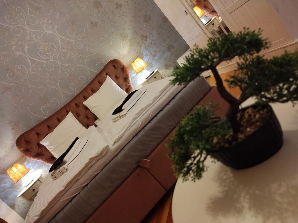 锡比乌Chic Home的带沙发和盆栽植物的客厅