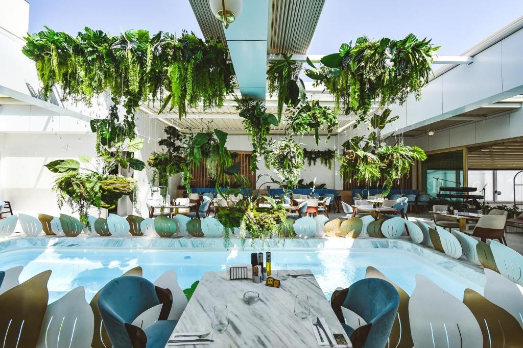 康斯坦察维拉雷纳酒店的植物间里的一个大型游泳池