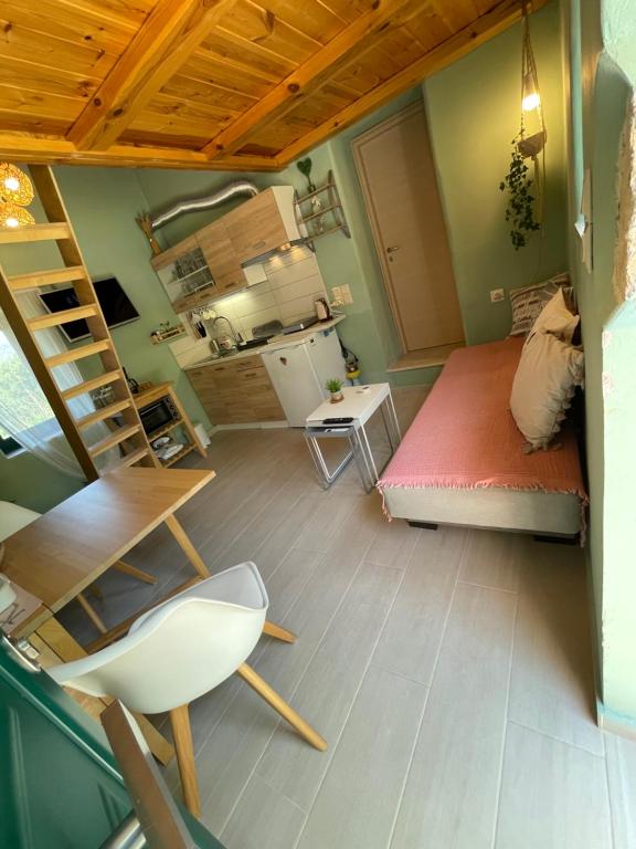 干尼亚Maria`s Peaceful Nest的小房间设有床和厨房