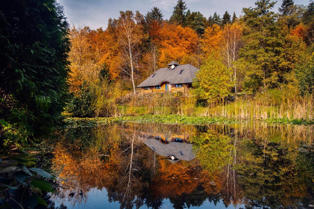 萨诺克Dzikie południe的湖景小屋秋天美景