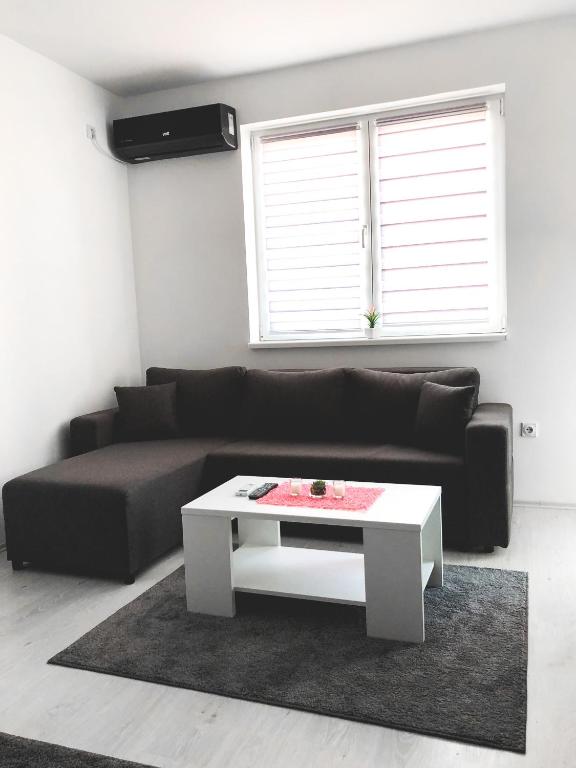 索科矿泉村Apartman DEA的客厅配有黑色沙发和白色咖啡桌
