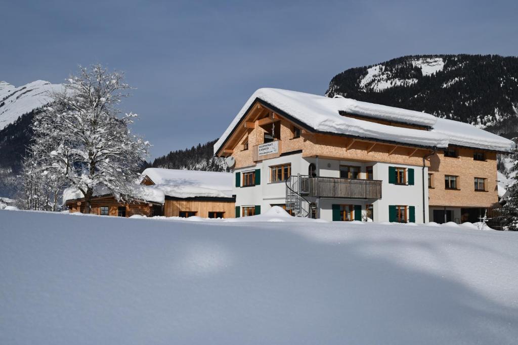 布雷根茨沃尔德地区奥Haus Bergquell的积雪覆盖的建筑物