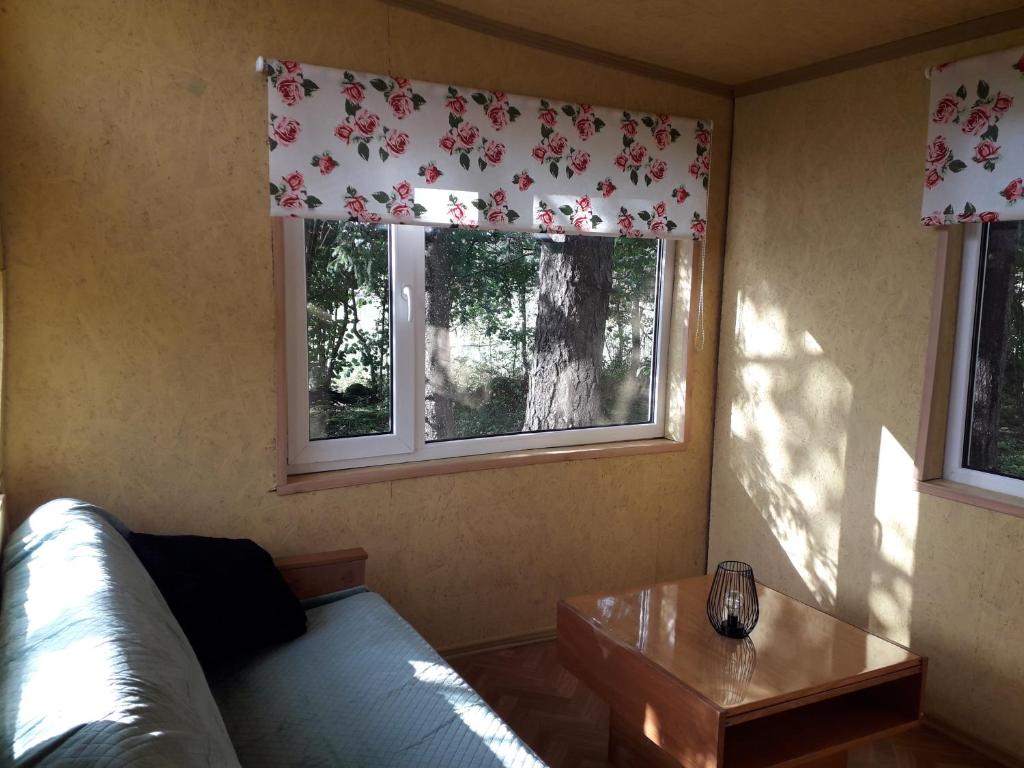 SaksaRossu metsamaja的带沙发和2扇窗户的客厅