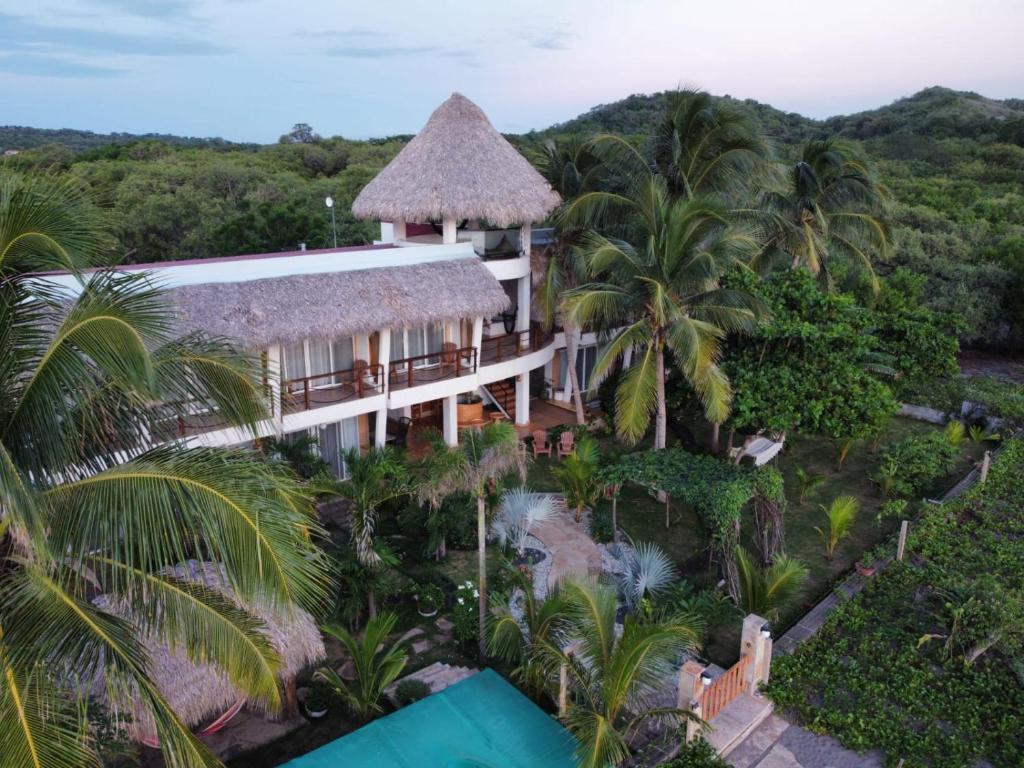 El TránsitoAlive Beach House的棕榈树度假村的空中景致