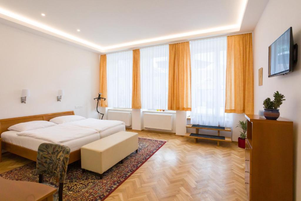 利托米什尔Luxusní velký apartmán s terasou v centru Litomyšle的一间卧室配有一张床、一张沙发和窗户。