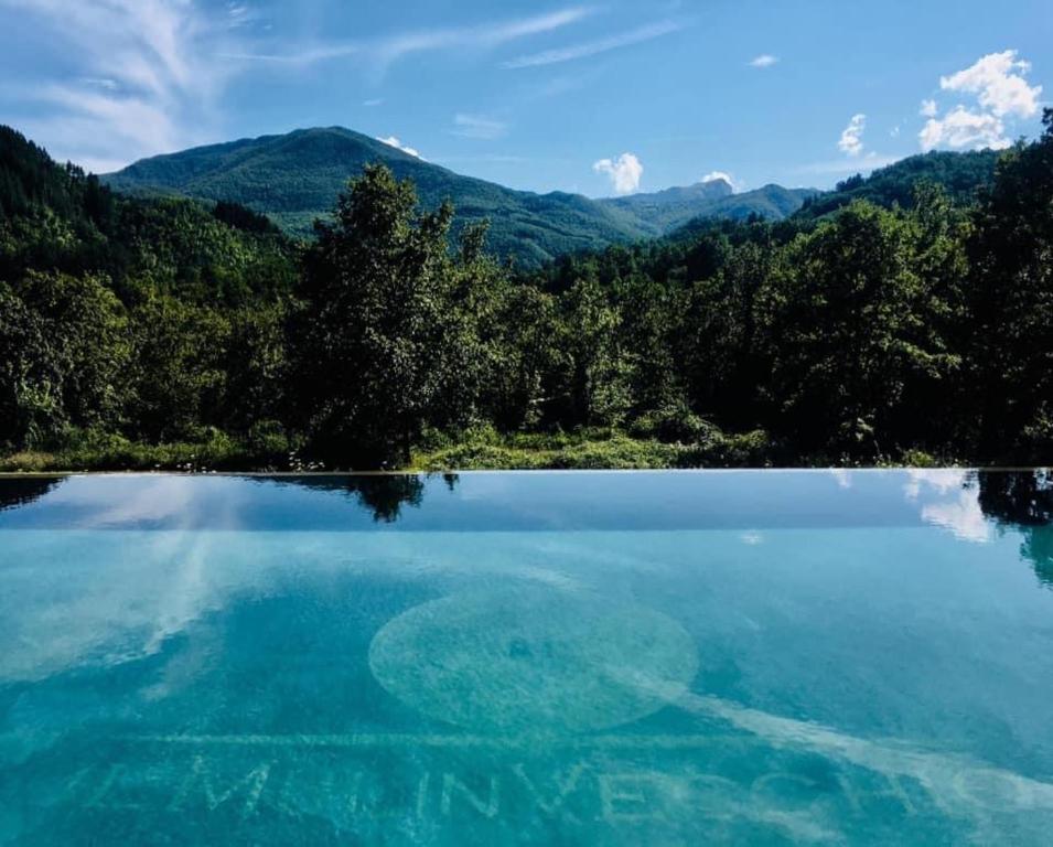 CamporgianoIl Mulin Vecchio的享有以山脉为背景的湖泊美景