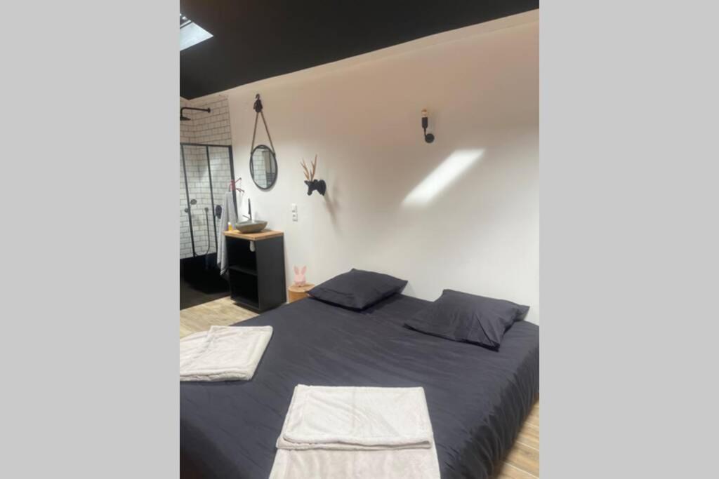 Amfreville-la-Mi-VoieApt 35 m2 Baignoire Balnéo terrasse privée的一间卧室配有一张带两个枕头的床