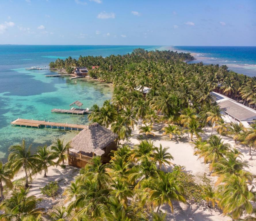 丹格里加Pelican Beach Resort South Water Caye的享有热带岛屿棕榈树的空中景致