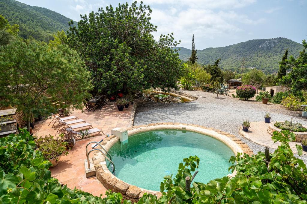 圣何塞ROBBY'S ibiza的一座位于庭院的游泳池,庭院里种有树木和山脉