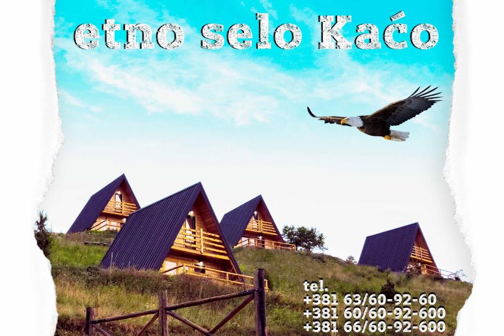 谢尼察Etno selo Kaćo的鸟在房子前飞的图片