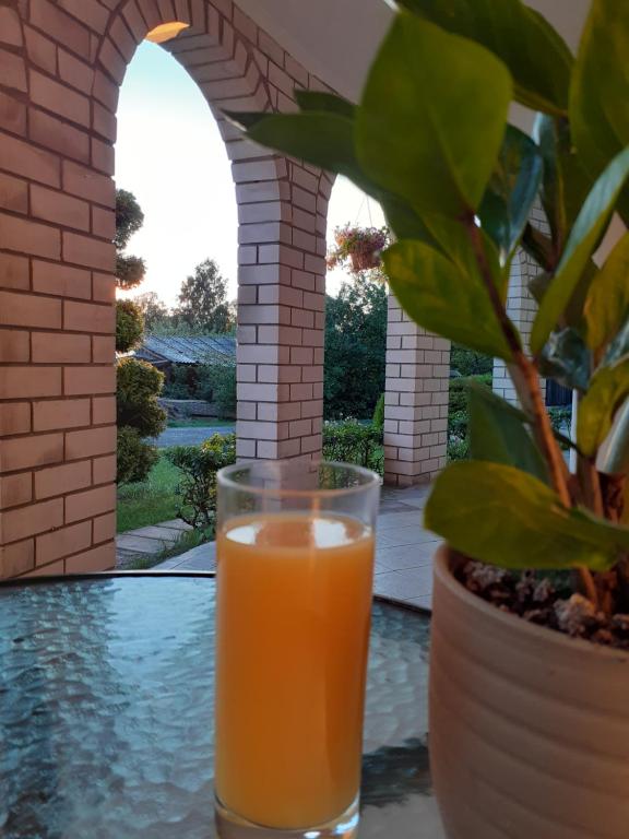 哈普萨卢Casper B&B的一杯橙汁坐在植物旁边的桌子上