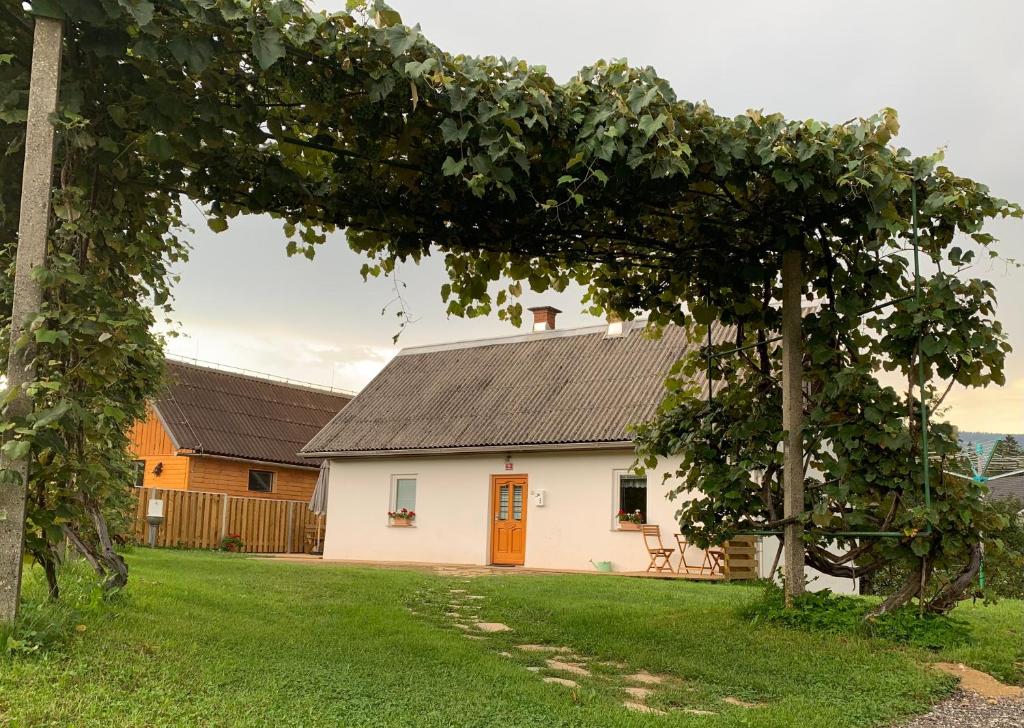 Radlje ob DraviGrandma's House的白色房子,有棕色的屋顶