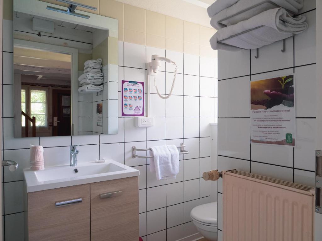 温格舍姆伊克姆赛阿尔萨斯酒店的一间带水槽、卫生间和镜子的浴室