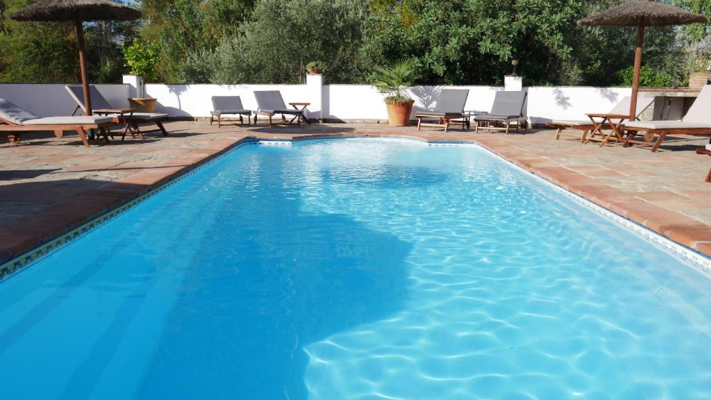 隆达La Perla Blanca - Ronda的一个带椅子和遮阳伞的大型蓝色游泳池