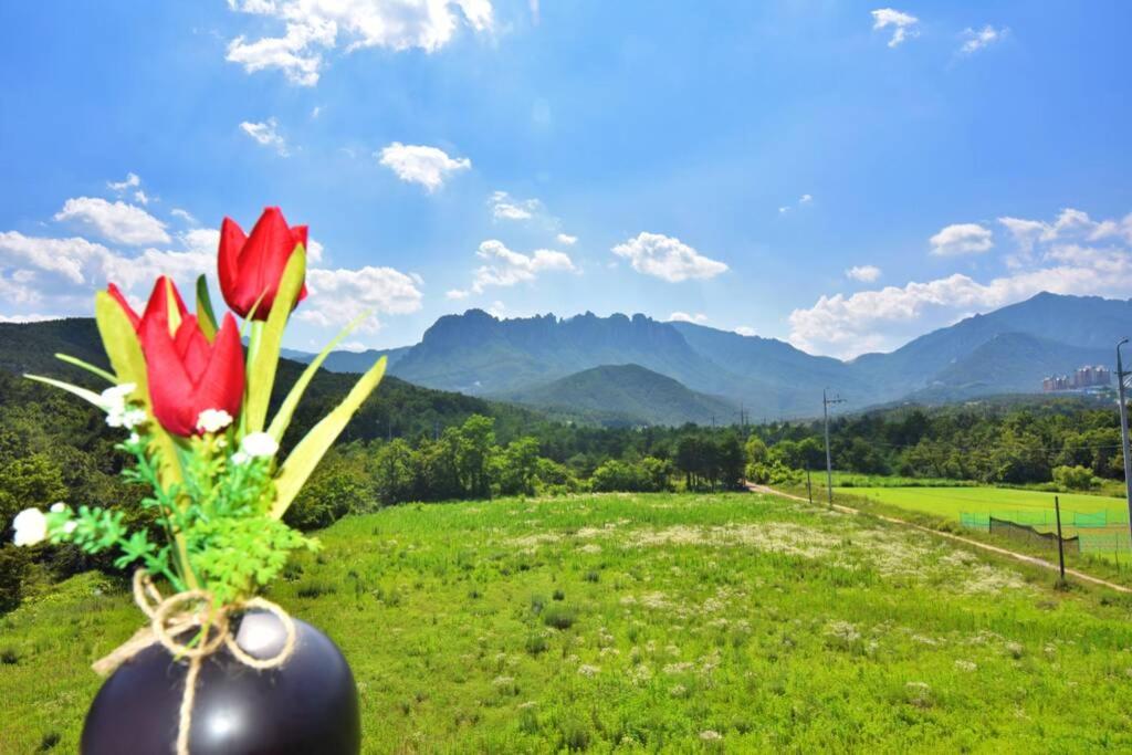 束草市Ulsanbawi Rock View Apartment的花瓶,花瓶上放着红花