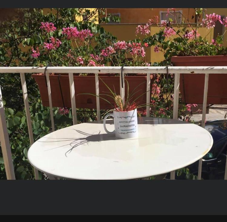 AustisLa Piazzetta的坐在桌子上的咖啡杯,上面有植物