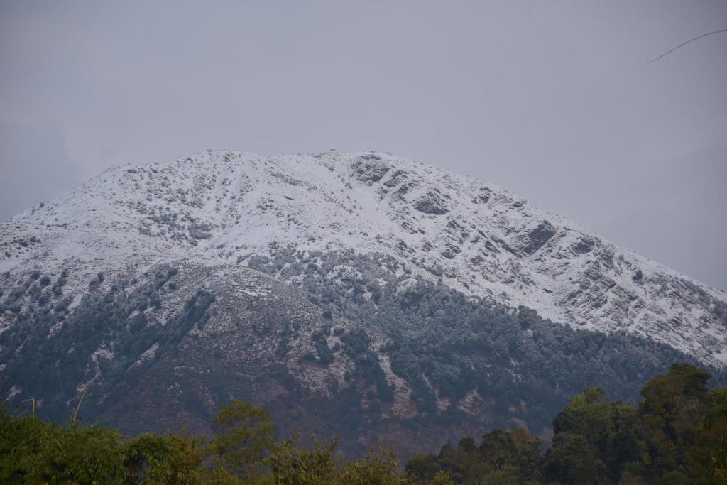 帕拉姆普尔ANAVЯIN HOME STAYS的前面有树木的雪覆盖的山
