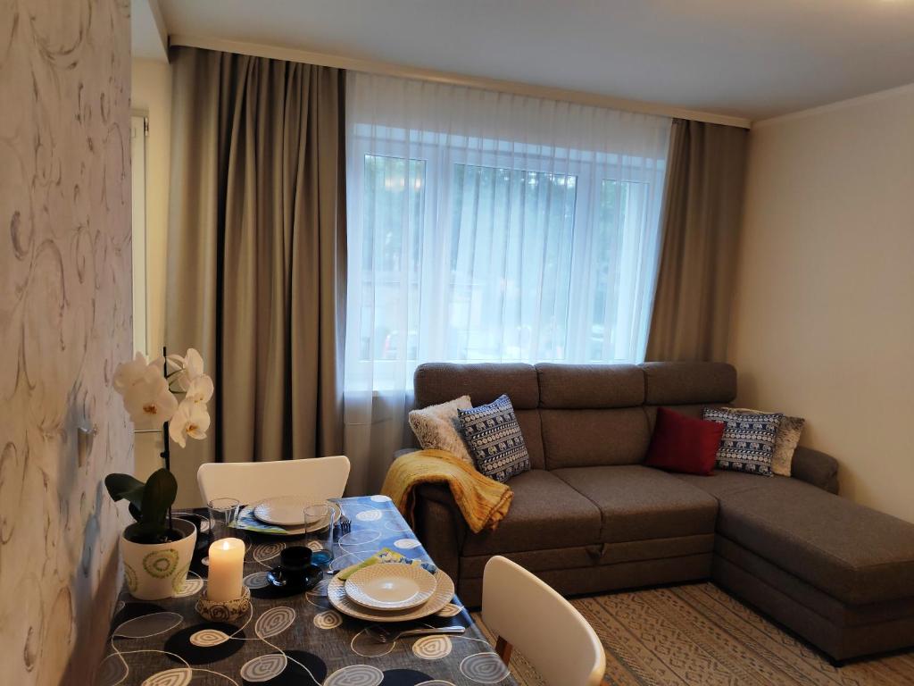 塔林Jakobi Guest Apartment的客厅配有沙发和桌子