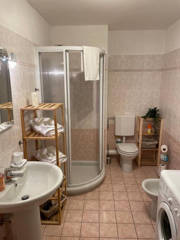 圣热尔韦莱班Belle Vue de St Gervais的带淋浴、盥洗盆和卫生间的浴室