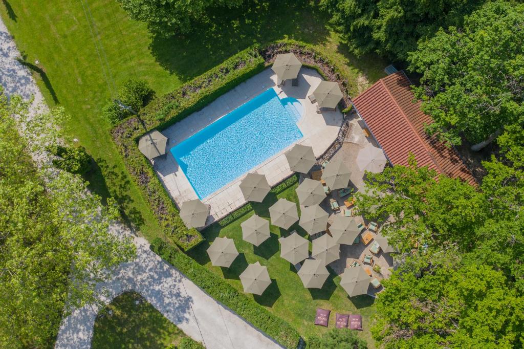Saint-Étienne-de-Saint-GeoirsChateau des Ayes - Chambres & suites的享有庭院游泳池的顶部景色