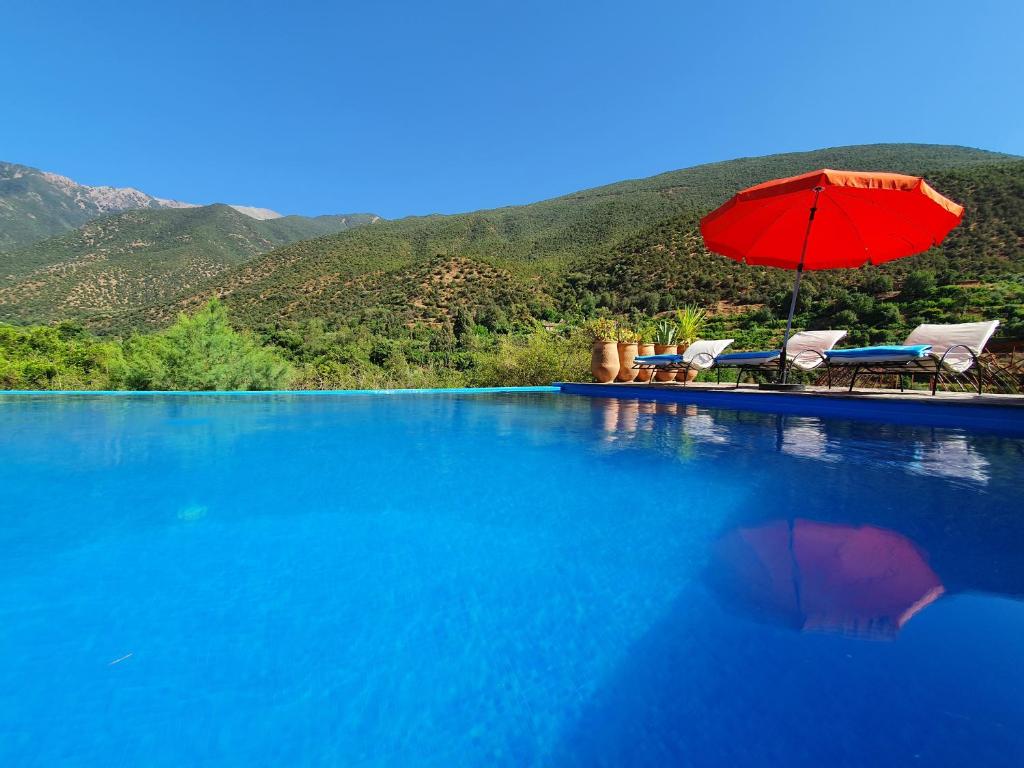 奥伊俄贞非洲古堡酒店的一个带红色遮阳伞和椅子的游泳池