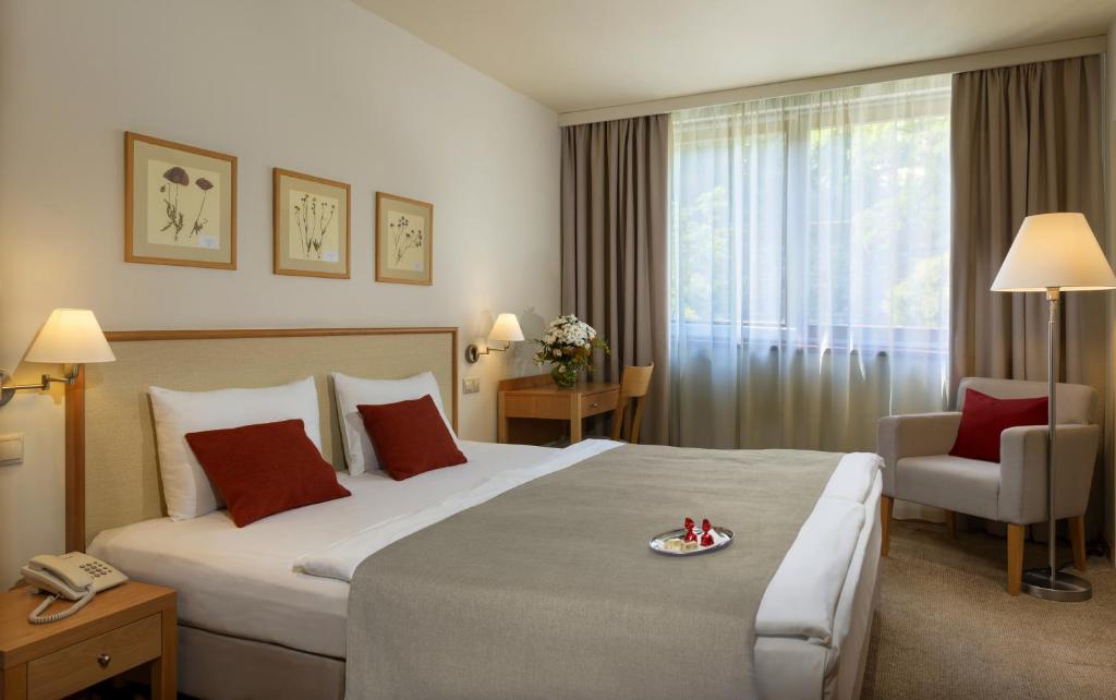 布达佩斯花园城堡酒店的酒店客房带一张大床和一把椅子