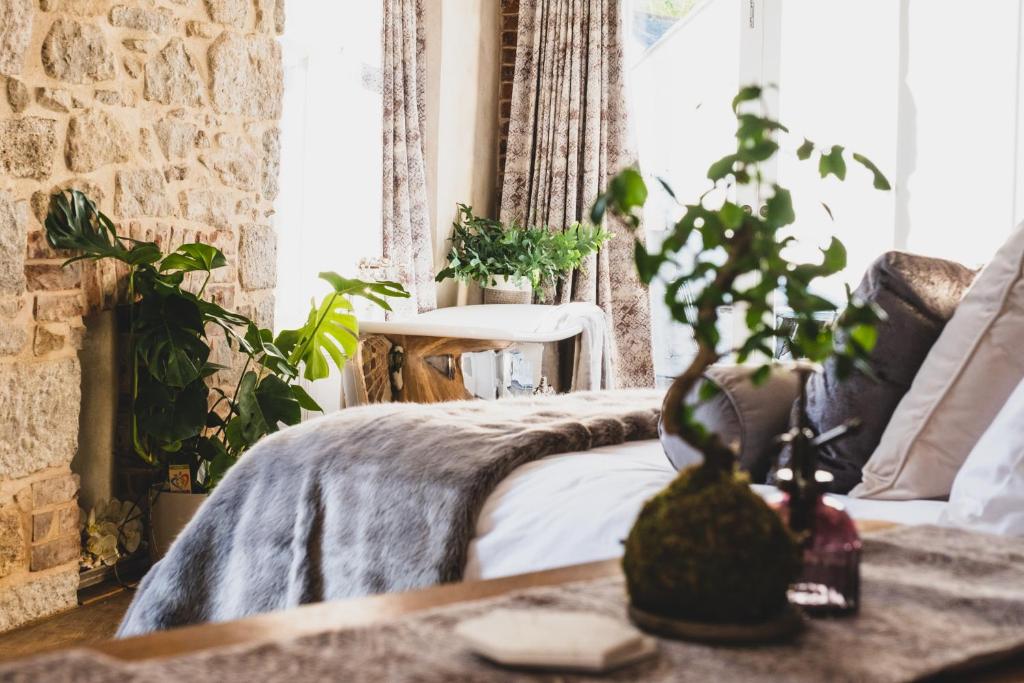 圣艾夫斯Host St Ives的一间卧室,配有一张床铺和桌子上的植物