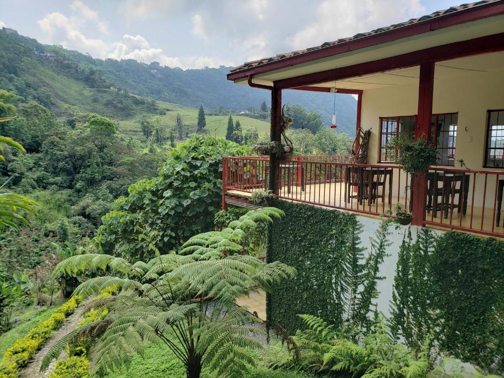 马尼萨莱斯Lodge Paraíso Verde的山丘上种有植物并设有阳台的房子