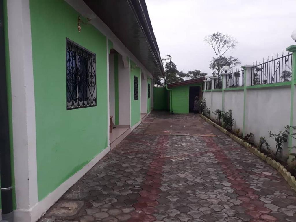 克里比NPANGOU APPART的一条拥有绿色和白色墙壁的建筑走廊