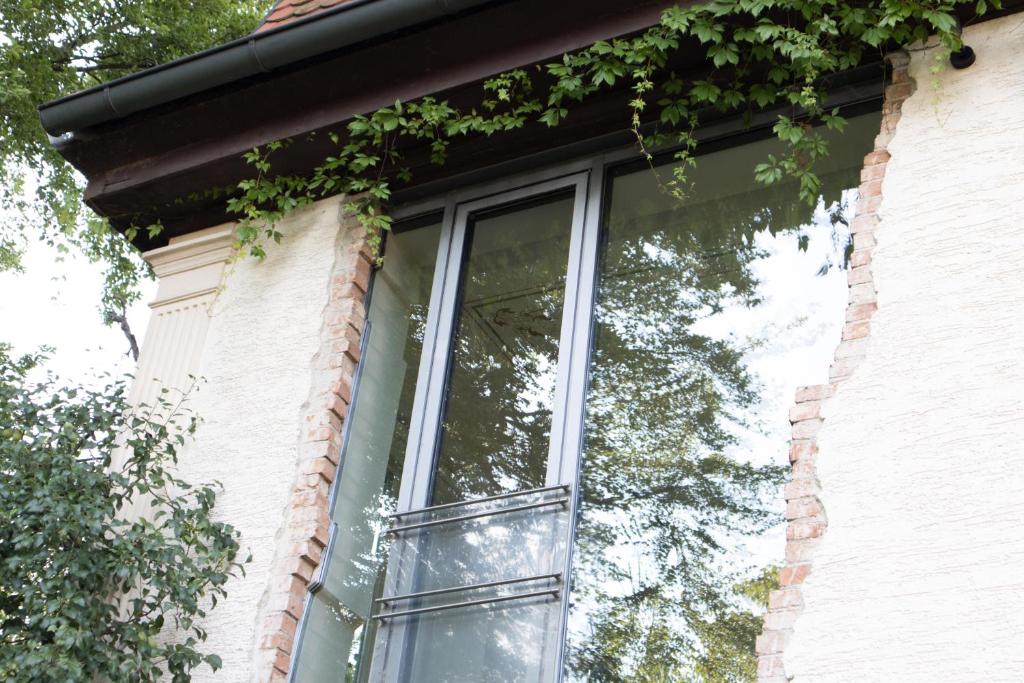 里德林根villaflora Gästehaus的砖砌建筑上的窗户,上面常有常春藤
