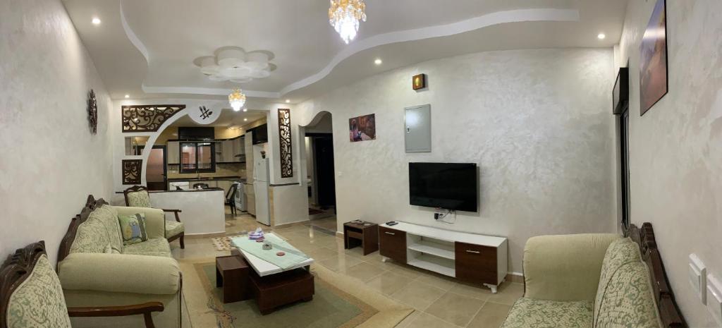 瓦迪穆萨Amro Petra Apartment的客厅配有沙发和电视。