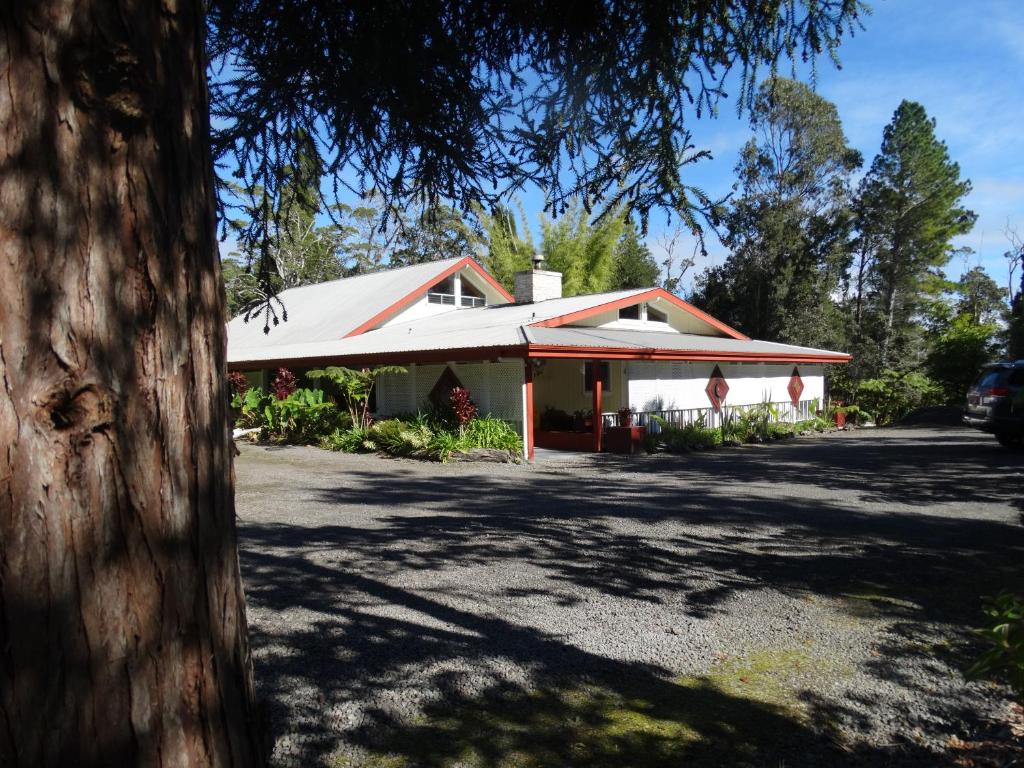 沃尔卡诺Lokahi Lodge的白色屋顶和树屋