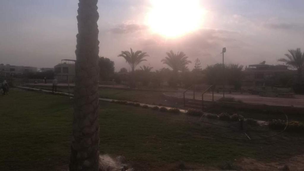 艾因苏赫纳Seaview Chalet - Ain Sokhna的一片棕榈树,在一片田野上,太阳在背后