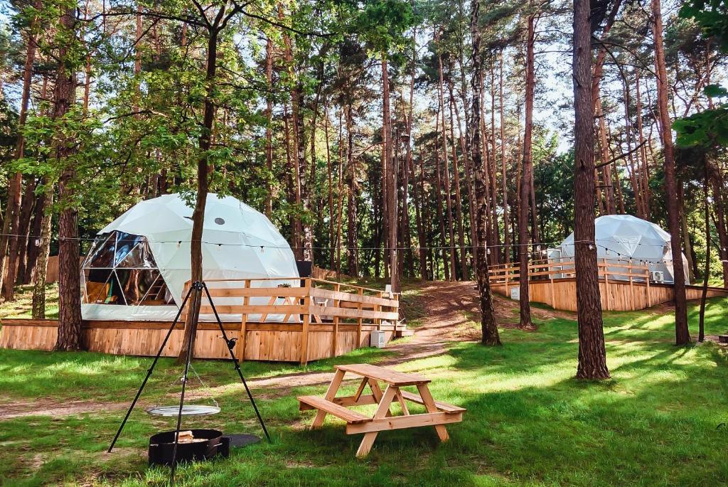 Zalesie GórnePlaneta Glamping的公园设有帐篷、野餐桌和长凳