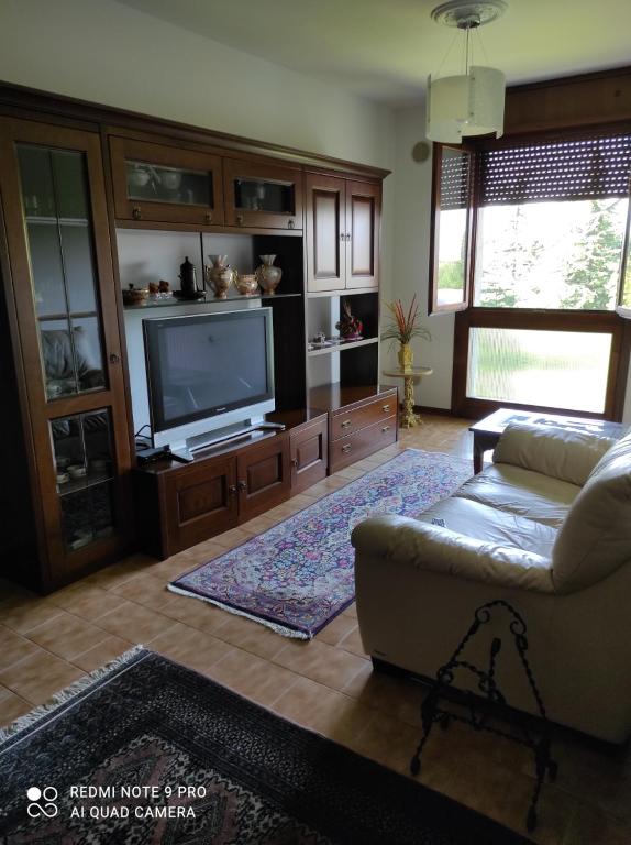 帕多瓦Appartamento Padova zona strategica的带沙发和平面电视的客厅