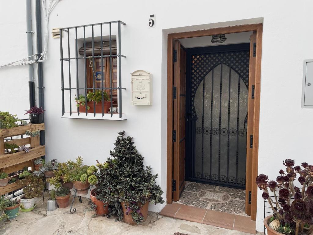 安特克拉Casa Vacacional Alcazabilla的通往种植盆栽植物的房子的门