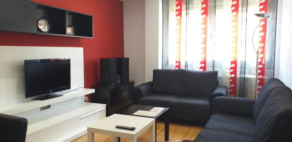 洛格罗尼奥Apartamento Los Lirios Logroño的客厅配有2把椅子和平面电视
