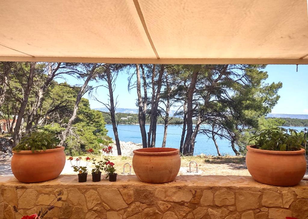 耶尔萨Stone Villa Hvar Ana and Nikola Beachfront的三个盆栽植物,坐在石墙上,享有海景