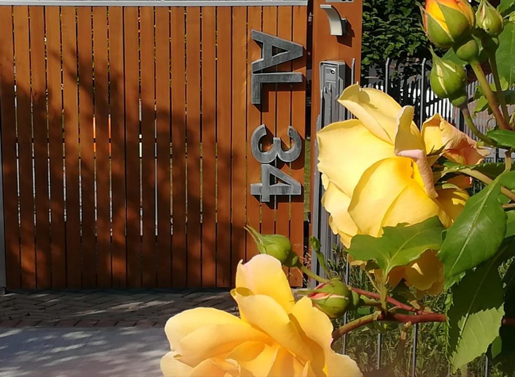 拉莫拉Apartment AL34的围栏旁的黄色花门