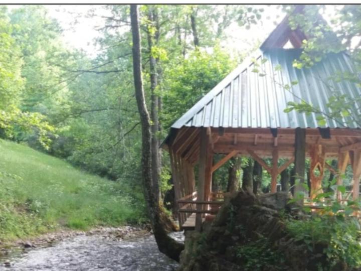 普列夫利亚Eco Camp Dzogaska Vrela的森林中央的凉亭
