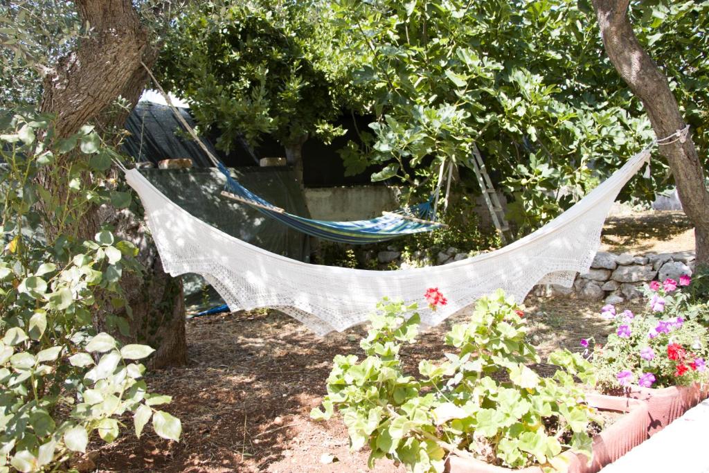 奥斯图尼Ostuni home nature的花园里挂在树上的吊床