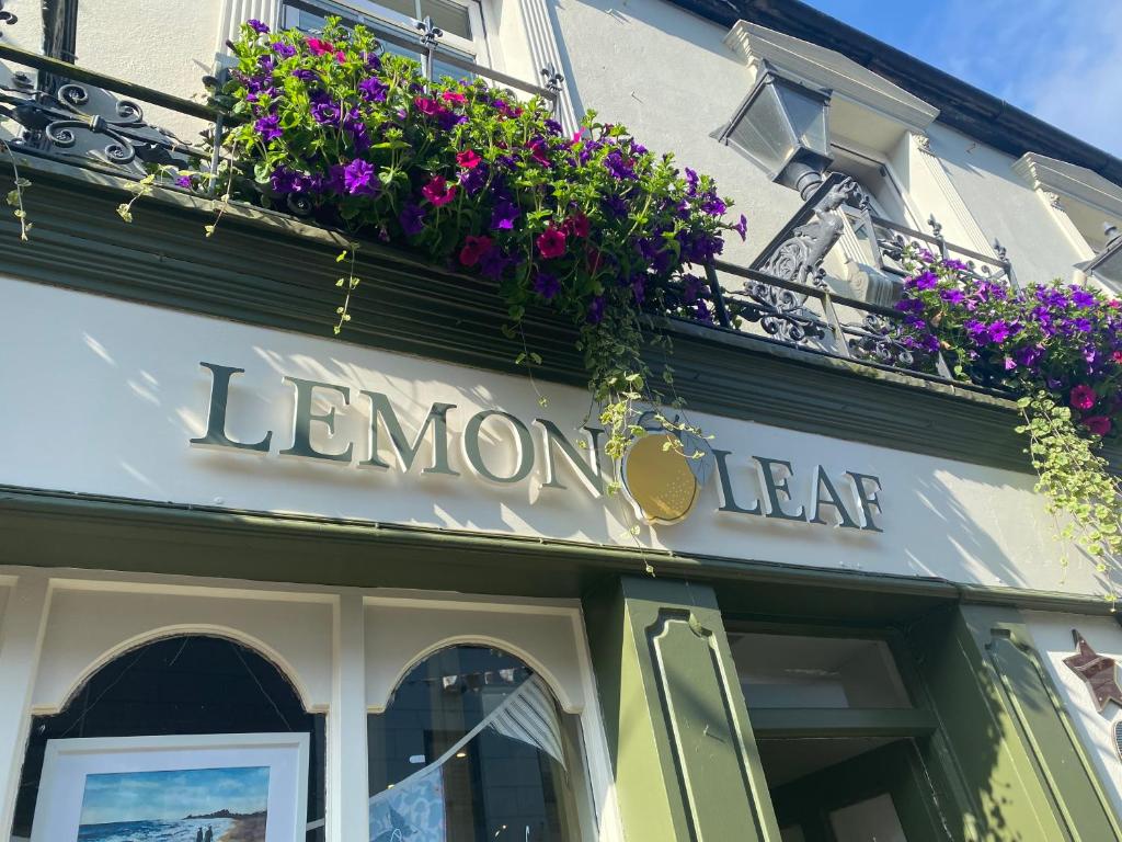金塞尔The Lemon Leaf Café Bar and Townhouse的外墙上鲜花商店的标志