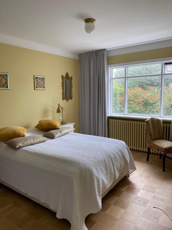 雷克雅未克Casa Dísa - Dreams, A Boutique Guesthouse in Reykjavik City`s Central Park and Botanical Garden in Laugardalur, Hot-Spring-Valley的卧室设有一张白色大床和一扇窗户。