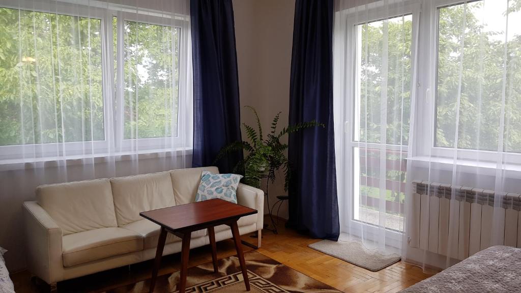 塔尔努夫Apartament Tarnów-Mościce PRZY MOŚCIE的带沙发和2扇大窗户的客厅