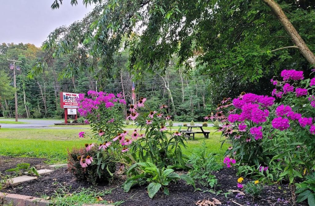 WrightstownHill Top Motel的一座种满鲜花的公园和一张野餐桌